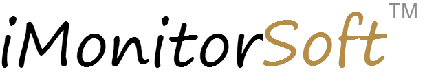 Employee computer monitoring software